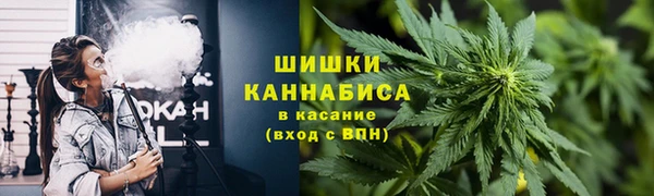 ПСИЛОЦИБИНОВЫЕ ГРИБЫ Богородицк